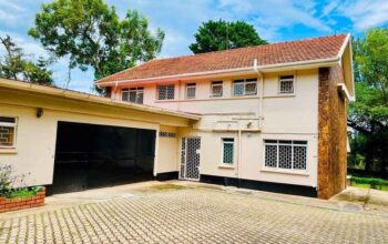 Bugolobi residential home for rent